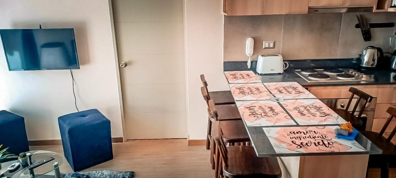 Departamento En El Centro De Santiago6 Apartamento